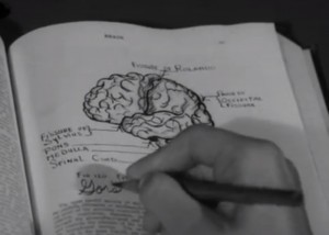 brain from planet arous 13